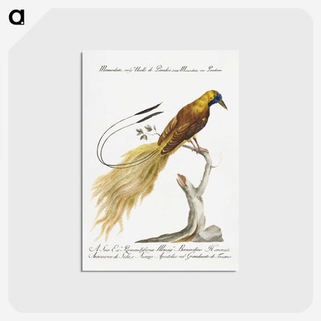 1-7_Saverio-Manetti_postcard