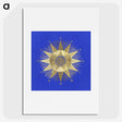1-7_Solar-Biology_picture