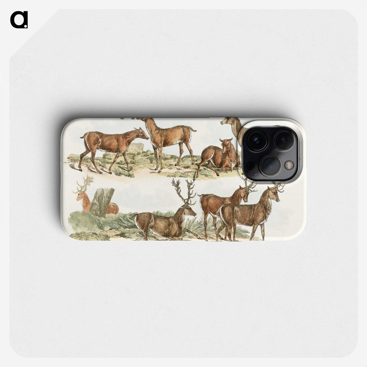 1-7_Sporting-Sketches_phone