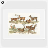 1-7_Sporting-Sketches_picture