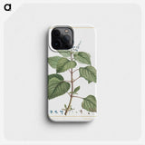 1-7_Stirpes-Novae_phone
