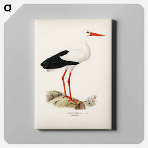 アートパネル-White Stork
 - スヴェンスカ フォグラル Canvas.