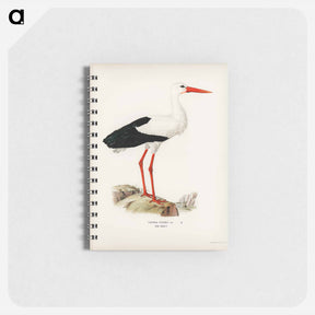 アートメモ帳-White Stork
 - スヴェンスカ フォグラル Memo.