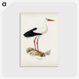 1-7_Svenska-Faglar_postcard