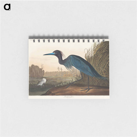 アートメモ帳-Blue Crane or Heron from Birds of America
 - アメリカの鳥たち Memo.