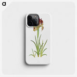 1-7_The-Genus-Iris_phone