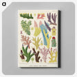 1-7_The-Great-Barrier-Reef-of-Australia_canvas