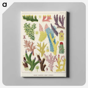 1-7_The-Great-Barrier-Reef-of-Australia_canvas