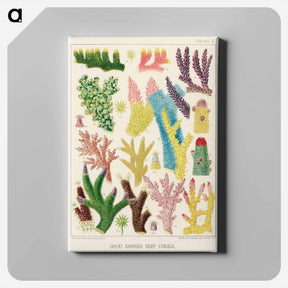 アートパネル-Great Barrier Reef Corals - オーストラリアのグレートバリアリーフ Canvas.
