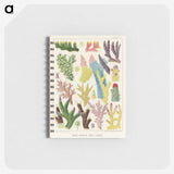 1-7_The-Great-Barrier-Reef-of-Australia_memo