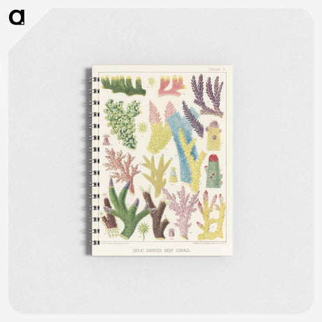 1-7_The-Great-Barrier-Reef-of-Australia_memo
