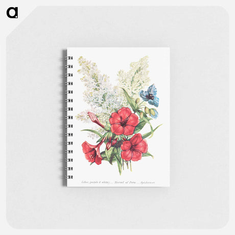 アートメモ帳-Lilac, Marvel of Peru and Spiderwort
 - 花言葉 Memo.