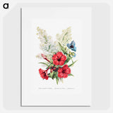 アートポスター-Lilac, Marvel of Peru and Spiderwort
 - 花言葉 Poster.