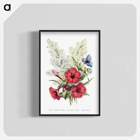 1-7_The-Language-of-Flowers_blk-crop
