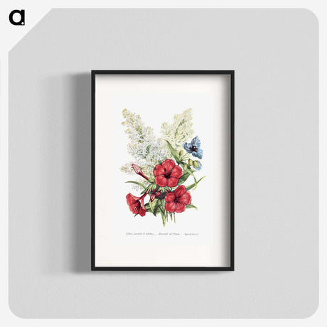 1-7_The-Language-of-Flowers_blk