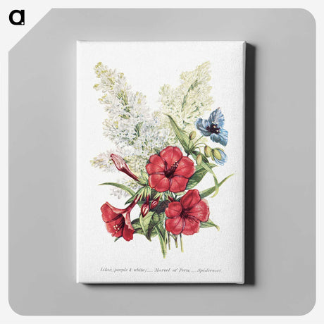 1-7_The-Language-of-Flowers_canvas