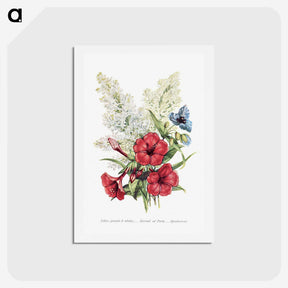 1-7_The-Language-of-Flowers_hagaki