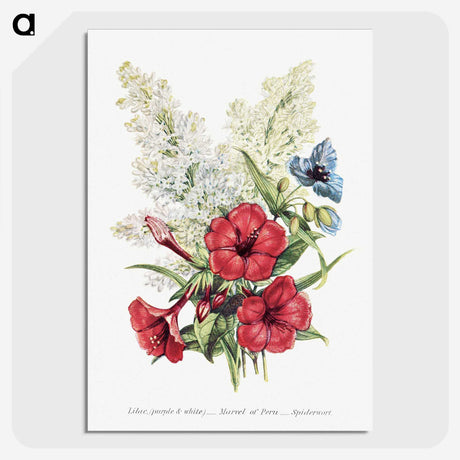 1-7_The-Language-of-Flowers_picture-crop