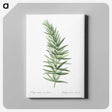 1-7_The-Lilies_canvas