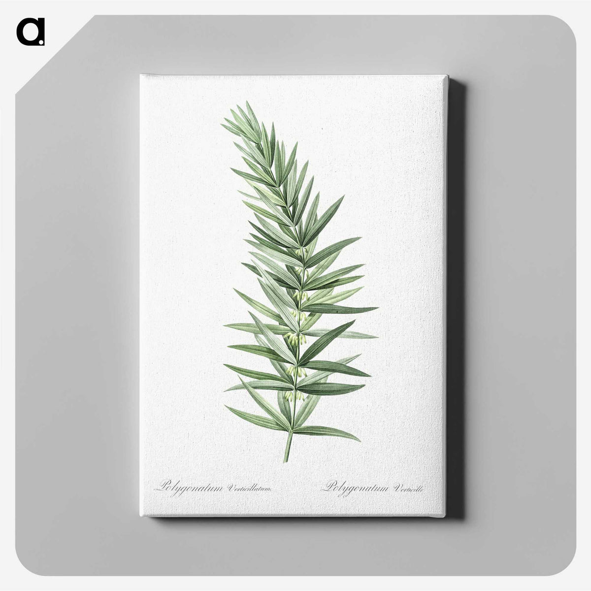 1-7_The-Lilies_canvas