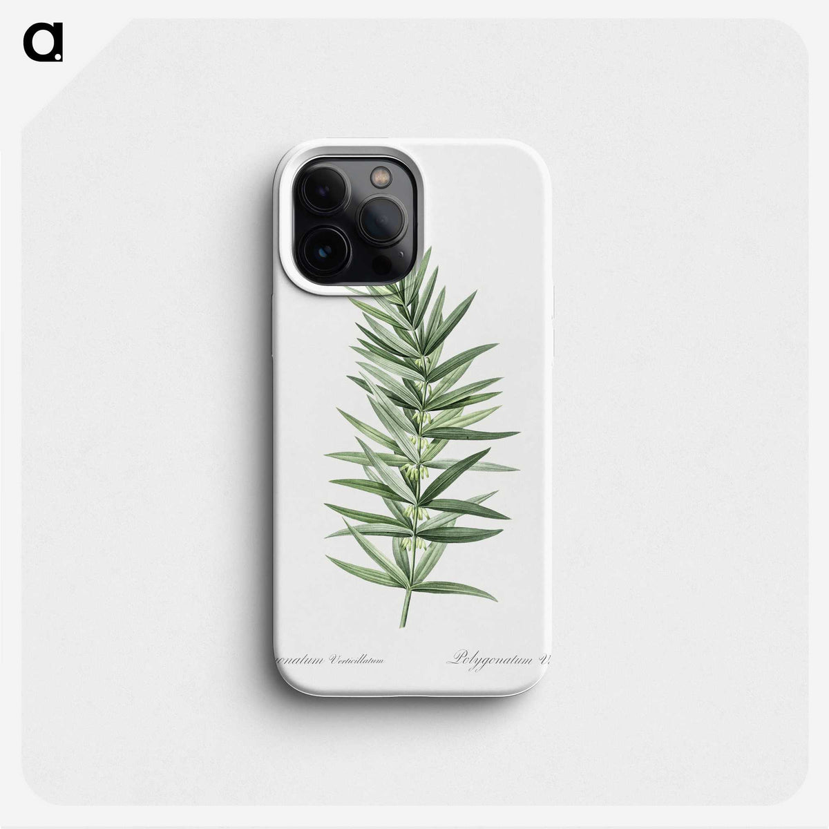 1-7_The-Lilies_phone