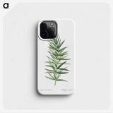 1-7_The-Lilies_phone