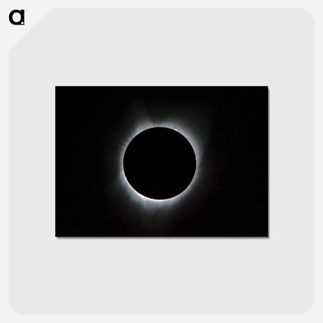 アートポストカード-Total Solar Eclipse
 - ムーン Postcard.