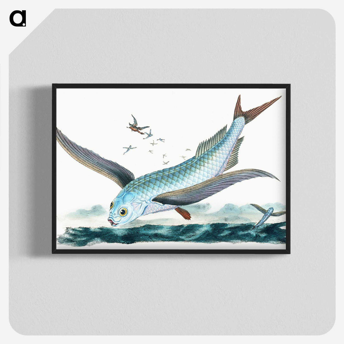 1-7_The-Natural-History-of-British-Fishes_blk-crop