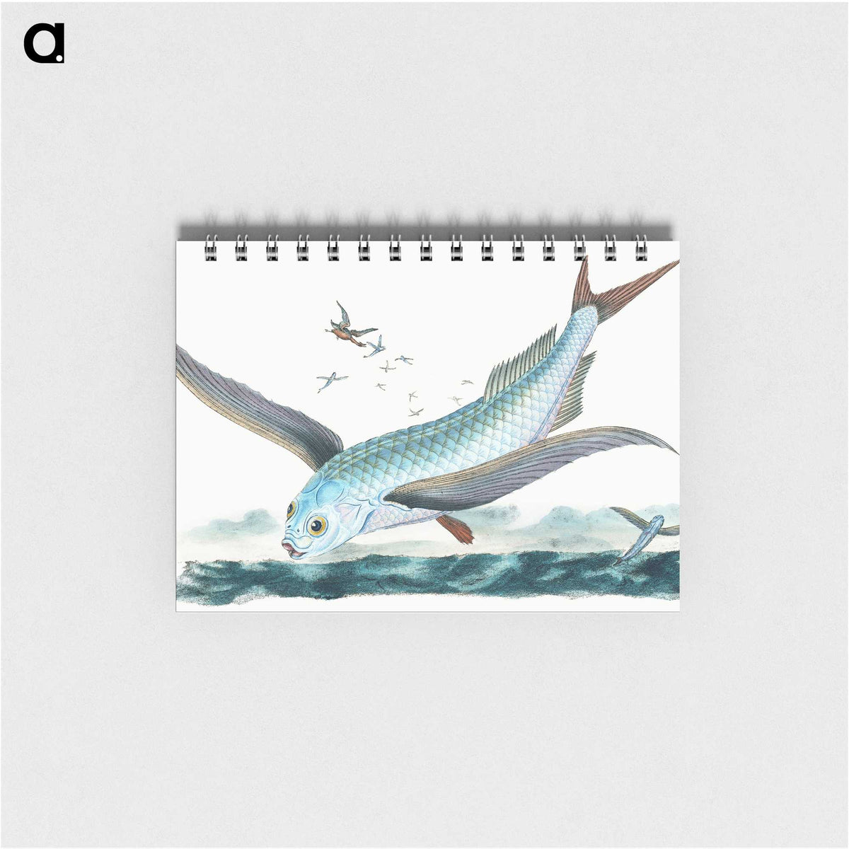 1-7_The-Natural-History-of-British-Fishes_memo