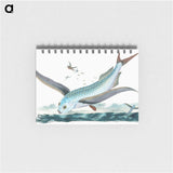 1-7_The-Natural-History-of-British-Fishes_memo