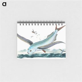 1-7_The-Natural-History-of-British-Fishes_memo