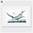 1-7_The-Natural-History-of-British-Fishes_picture