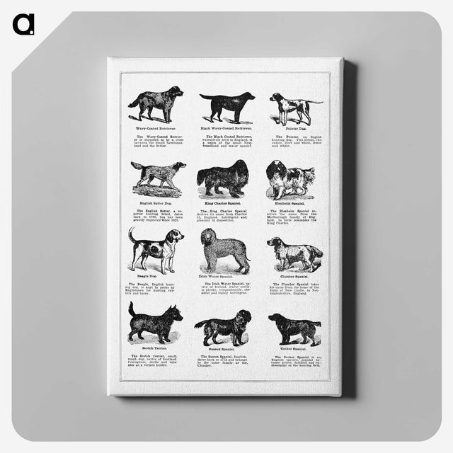 1-7_The-Open-Door-to-Independence_canvas