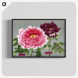 1-7_The-Picture-Book-of-Peonies_blk-crop