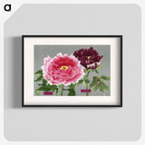 1-7_The-Picture-Book-of-Peonies_blk