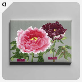 1-7_The-Picture-Book-of-Peonies_canvas