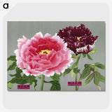 1-7_The-Picture-Book-of-Peonies_picture-crop