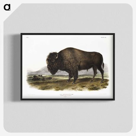 1-7_The-Viviparous-Quadrupeds_blk-crop