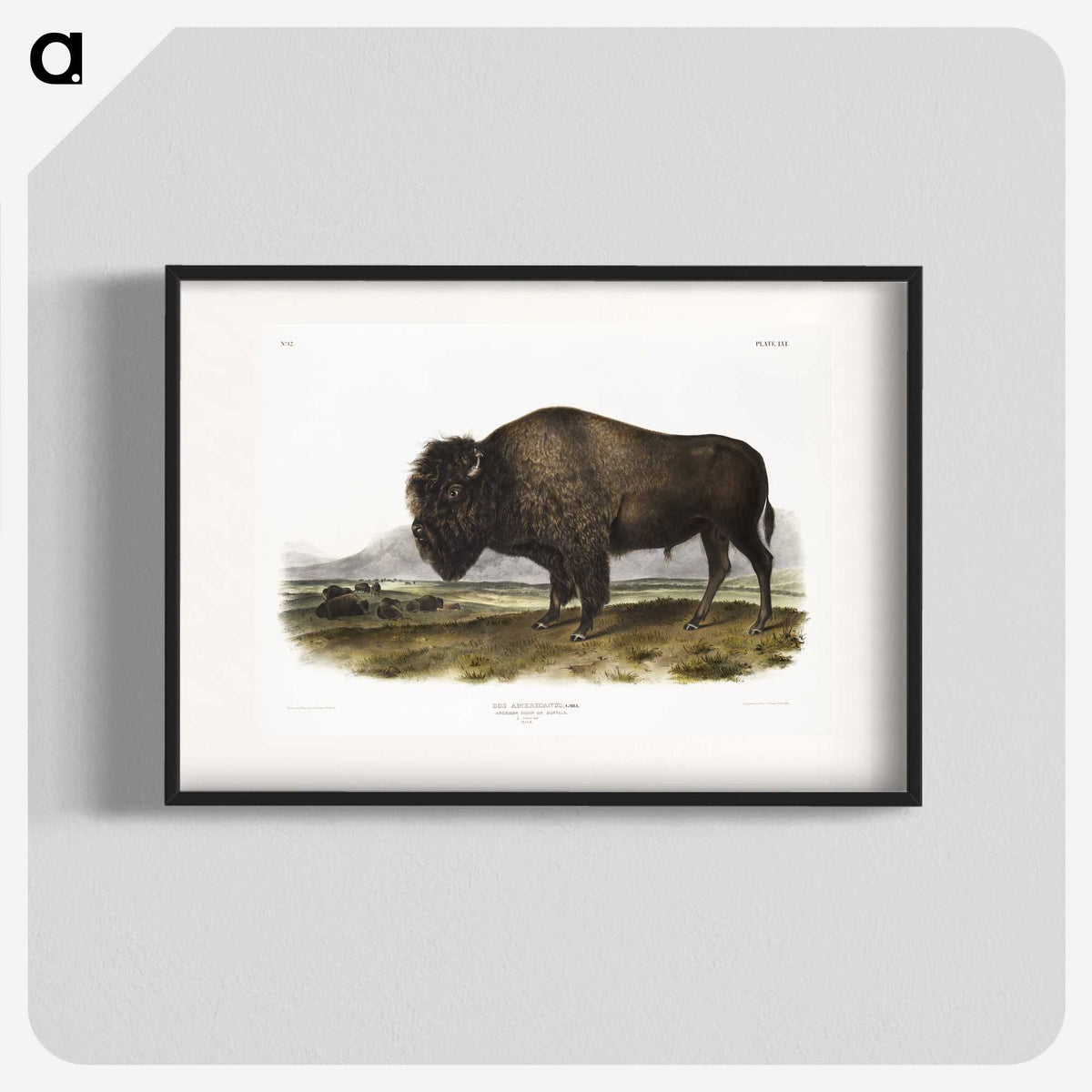 1-7_The-Viviparous-Quadrupeds_blk