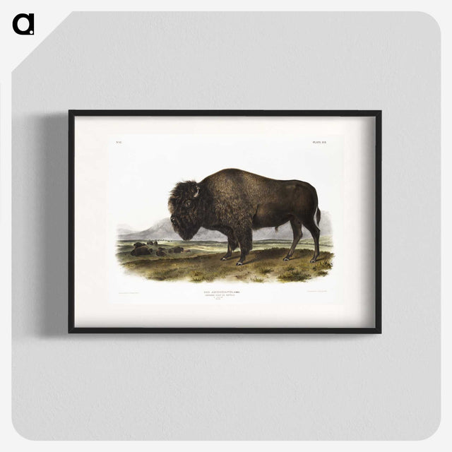 1-7_The-Viviparous-Quadrupeds_blk
