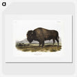 1-7_The-Viviparous-Quadrupeds_picture