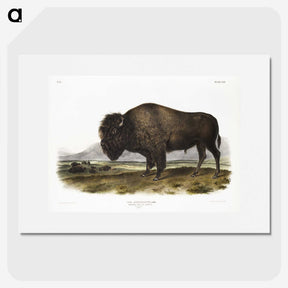 1-7_The-Viviparous-Quadrupeds_picture