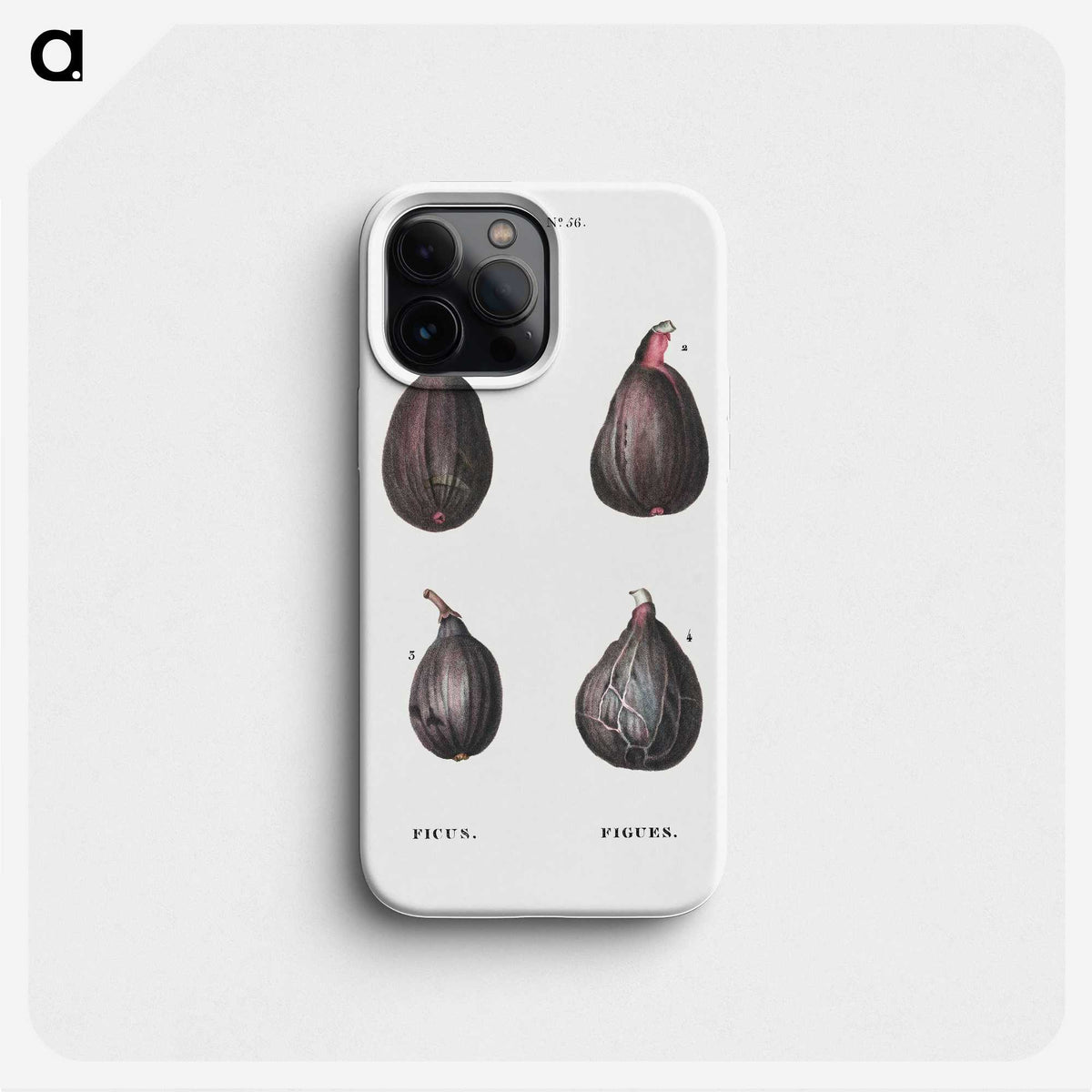 1-7_Treatise-on-Trees-and-Shrubs_phone
