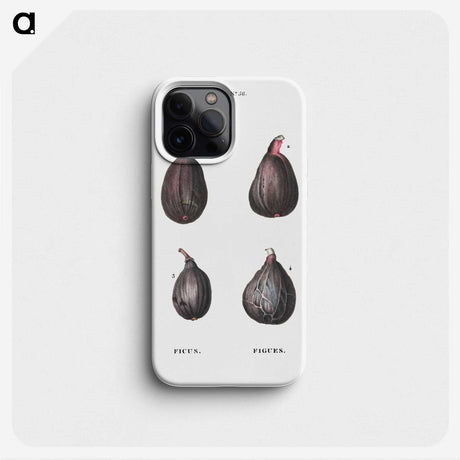 1-7_Treatise-on-Trees-and-Shrubs_phone