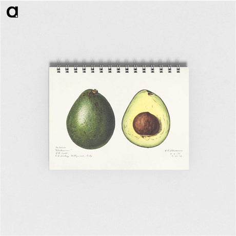 1-7_USDA-Watercolor-Fruit-Painting-Collection_memo