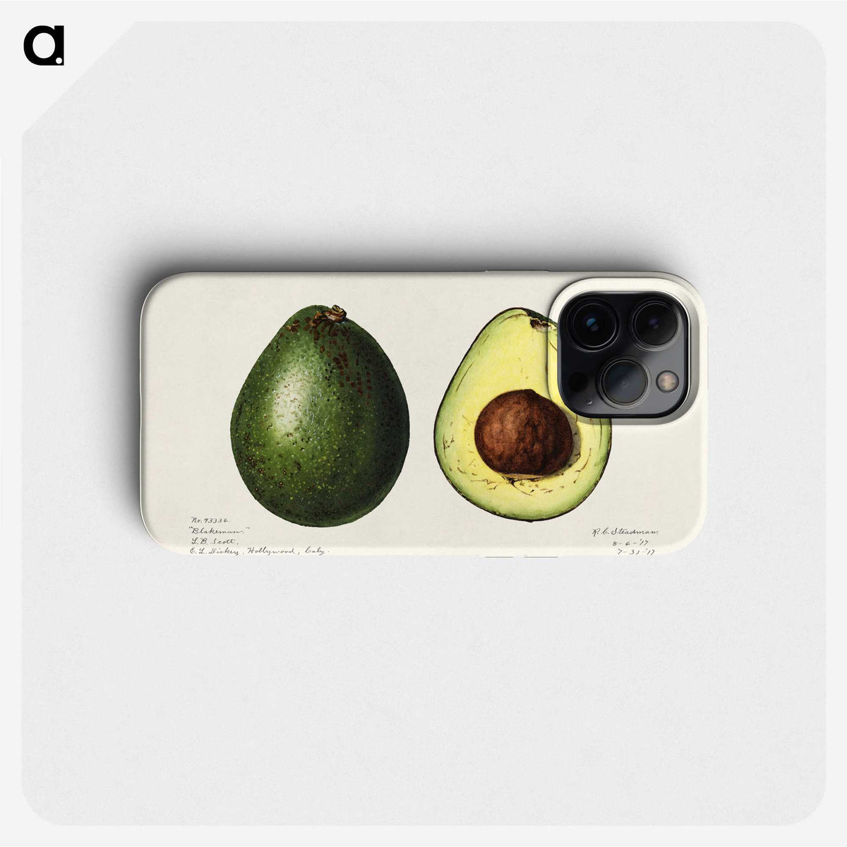 1-7_USDA-Watercolor-Fruit-Painting-Collection_phone