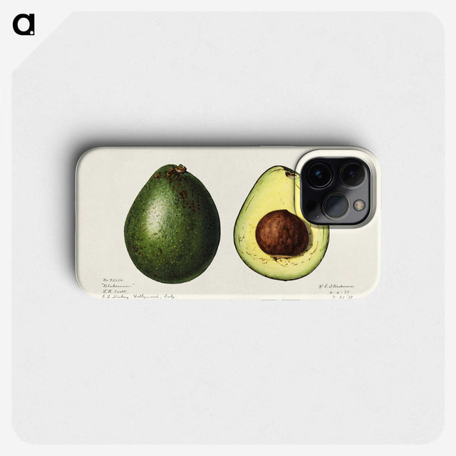 1-7_USDA-Watercolor-Fruit-Painting-Collection_phone