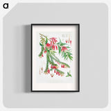 Vaccinium Salignum (syn. Agapetes saligna), Vaccinium Serpens (syn. Agapetes serpens) - ウォルター フッド フィッチ Poster.