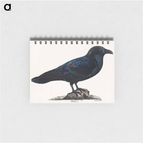 アートメモ帳-Raven - ヴィルヘルム フォン ライト Memo.
