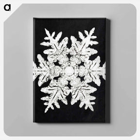 アートパネル-Wilson Bentley's Snowflake 990 - ウィルソン ベントレー Canvas.